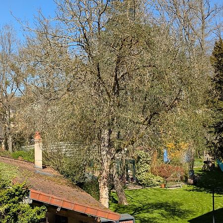 La Maison D'A Cote Saint-Amand-en-Puisaye Εξωτερικό φωτογραφία