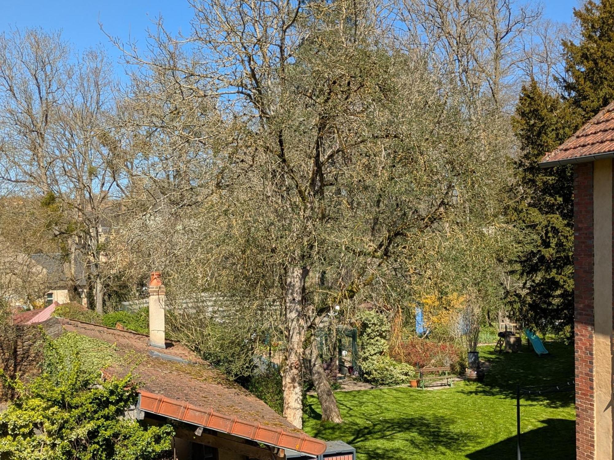 La Maison D'A Cote Saint-Amand-en-Puisaye Εξωτερικό φωτογραφία
